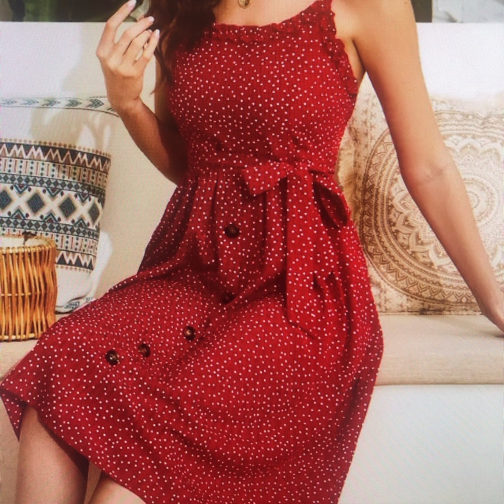 Vintage Polk-a-dot Ruffle Trim Dress